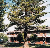 Eastern Beach Holiday Units - Whitsundays Accommodation