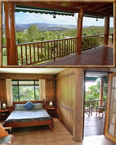 Atherton Blue Gum - Whitsundays Accommodation 0