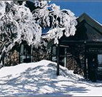 Arlberg Hotel Mt Buller - Whitsundays Accommodation