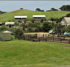 Ace Hi Riding Ranch - Whitsundays Accommodation