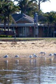 Best Western Coastal Waters Motor Inn - Whitsundays Accommodation 2