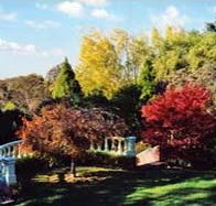 Edgelinks Bed And Breakfast - Whitsundays Accommodation