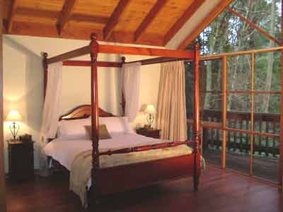 Belle Le Vie (Luxury B&B) - Whitsundays Accommodation 2