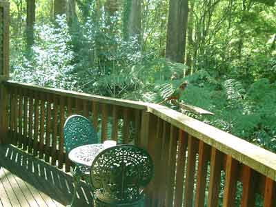 Belle Le Vie (Luxury B&B) - Whitsundays Accommodation 4