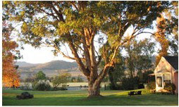 Belltrees Country House - Whitsundays Accommodation 2