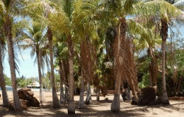 King Sound Resort Hotel - Whitsundays Accommodation