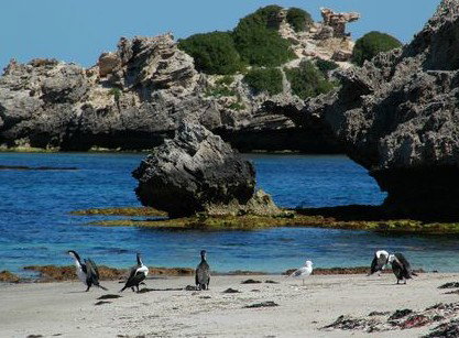 Beachside Apartment Hotel - Whitsundays Accommodation 2