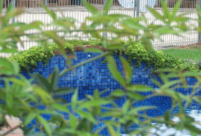 Arcadia Motor Inn - Whitsundays Accommodation 4