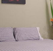 Stingo Hotel - Whitsundays Accommodation