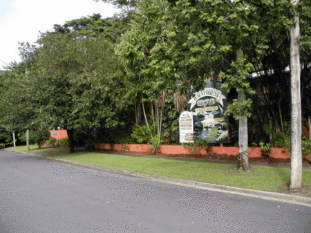 Rainforest Grove Holiday Resort - Whitsundays Accommodation 2