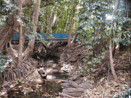 Rainforest Grove Holiday Resort - Whitsundays Accommodation 3