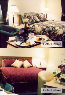  Whitsundays Accommodation