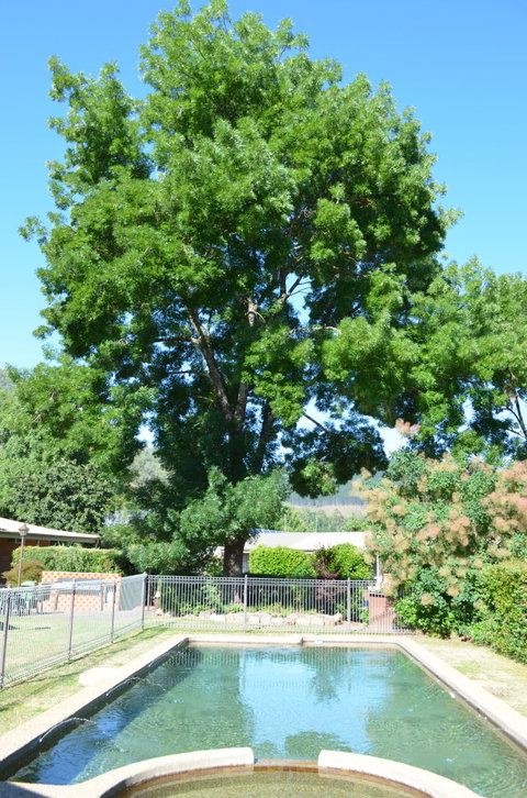 Bright Colonial Inn Motel - Whitsundays Accommodation 4