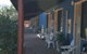 Ravensthorpe Motel - thumb 2