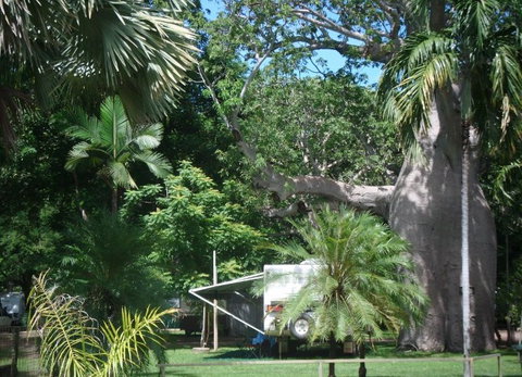 Kimberleyland Holiday Park - Whitsundays Accommodation 5
