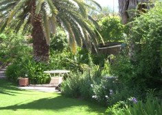 Nthaba Cottage - Whitsundays Accommodation 0