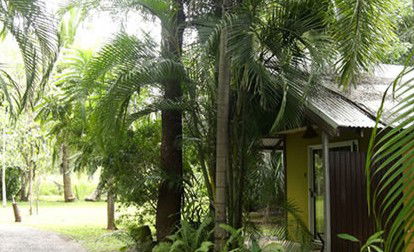 Rum Jungle Bungalows - Whitsundays Accommodation 3