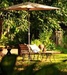 Rum Jungle Bungalows - Whitsundays Accommodation 4