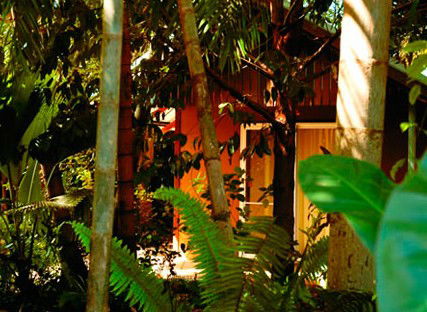 Rum Jungle Bungalows - Whitsundays Accommodation 5