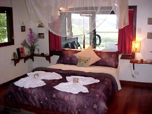 Daintree Cloud 9 - Whitsundays Accommodation 0
