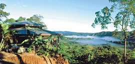 Daintree Cloud 9 - Whitsundays Accommodation 1