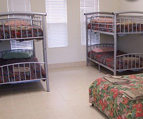 Toddy's Backpackers Resort - Whitsundays Accommodation 2