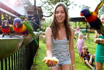 Noosa North Shore Retreat - Whitsundays Accommodation 5