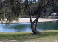 Ocean View Apartments - Whitsundays Accommodation 3