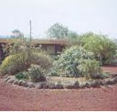 Beaufort Motel - Whitsundays Accommodation