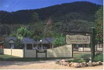 The Silver Birches Holiday Village - Whitsundays Accommodation 0