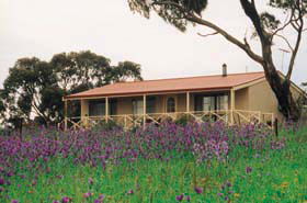 Armagh SA Whitsundays Accommodation