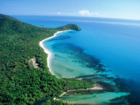 Cape Tribulation Camping - Whitsundays Accommodation 0