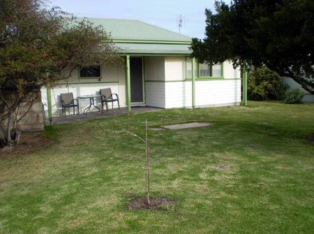 Tobruk Cottage - Whitsundays Accommodation 1