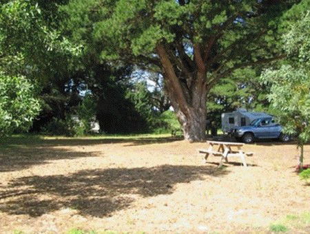 Millicent Hillview Caravan Park - Whitsundays Accommodation 1