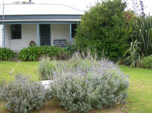 Ruby's Robe Cottage - Whitsundays Accommodation 5