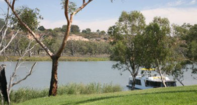 Toolunka Estate Cottage - Whitsundays Accommodation 4
