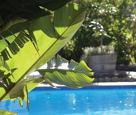 Kangaroo Island Seafront Resort - Whitsundays Accommodation 5