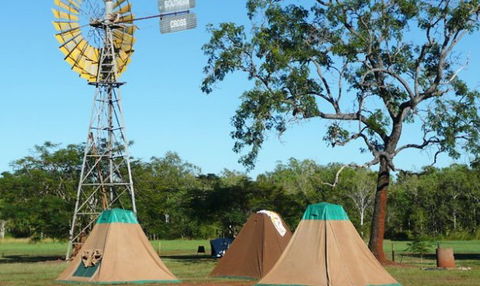Litchfield Tourist Park - Whitsundays Accommodation 2