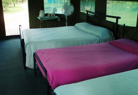 Litchfield Safari Camp - Whitsundays Accommodation 2