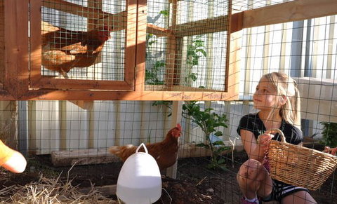 Vintners House - Whitsundays Accommodation 2