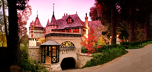 Thorngrove Manor - Whitsundays Accommodation 0