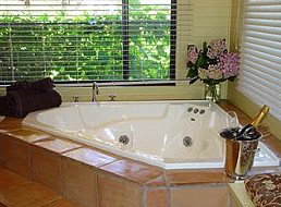 Treetops Bed & Breakfast - Whitsundays Accommodation 1