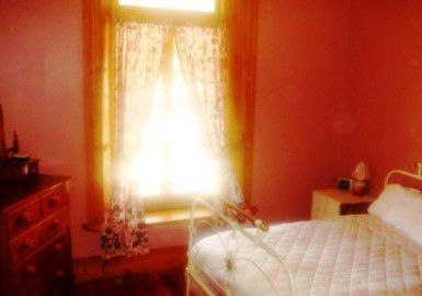 Old Willows Country Estate - Whitsundays Accommodation 3