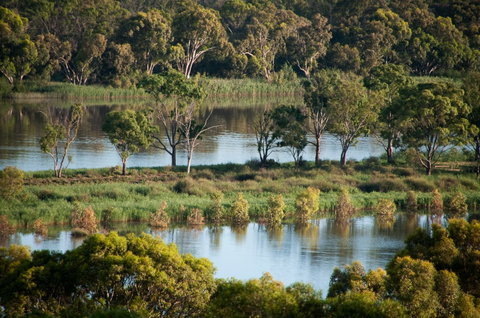 Riverview Rise Retreats - Whitsundays Accommodation 4