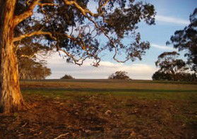Mirrabooka Bed And Breakfast - Whitsundays Accommodation 1