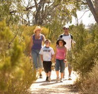 Long Island Caravan Park Cabins - Whitsundays Accommodation