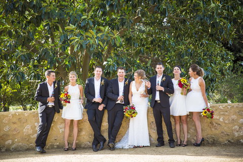 Willunga Peacock Farm Bed And Breakfast - Whitsundays Accommodation 3