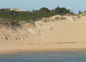 Ark Bed And Breakfast - Whitsundays Accommodation 1