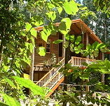 Rivers Edge Rainforest Retreat - Whitsundays Accommodation