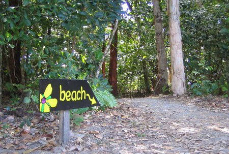 Cape Tribulation Camping - Whitsundays Accommodation 2